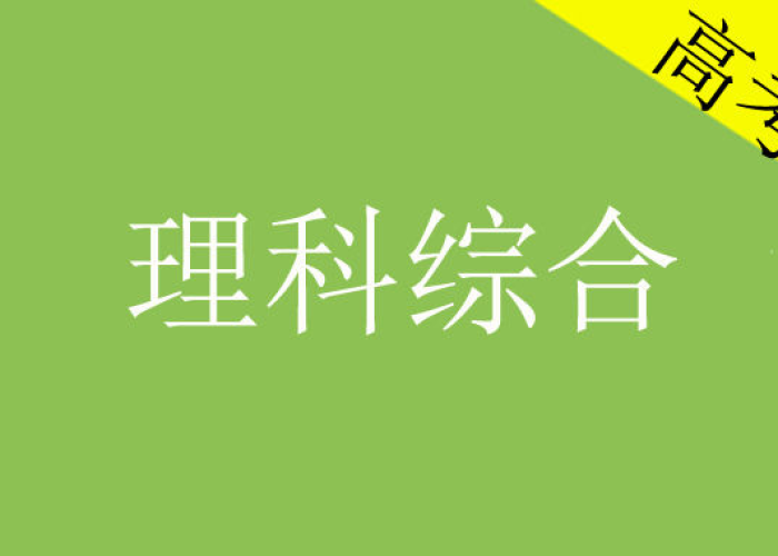 新冠疫情始于2019年