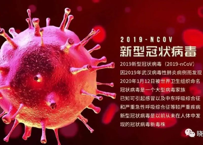 去年疫情是新型冠状病毒