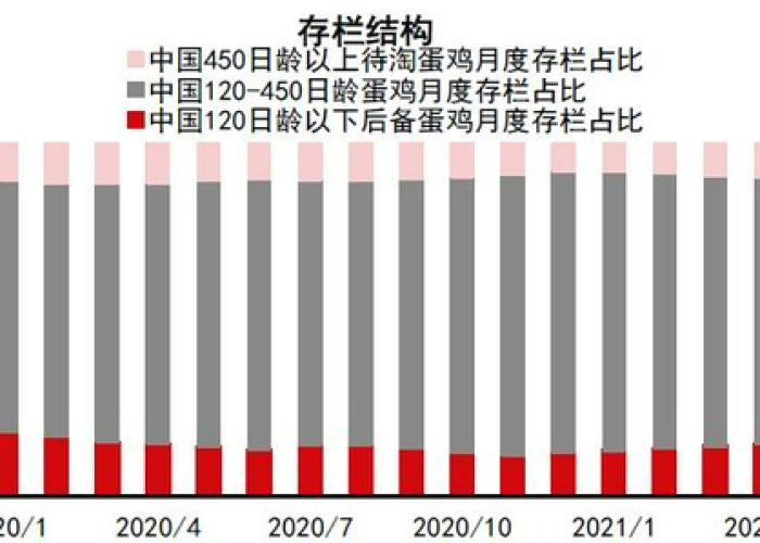 2019年疫情爆发时间