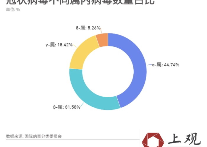 新冠疫情属于哪种冠状病毒属？