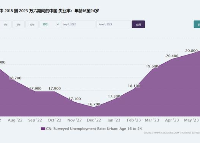 2022年疫情回顾，挑战与应对的一年