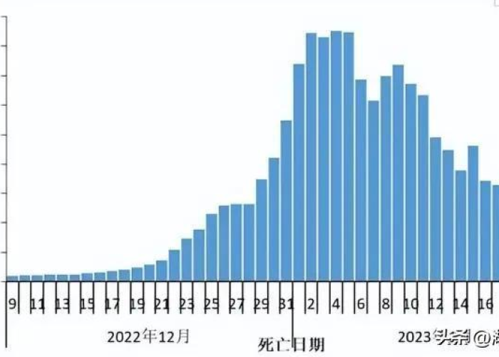 中国三年疫情死亡人数公布