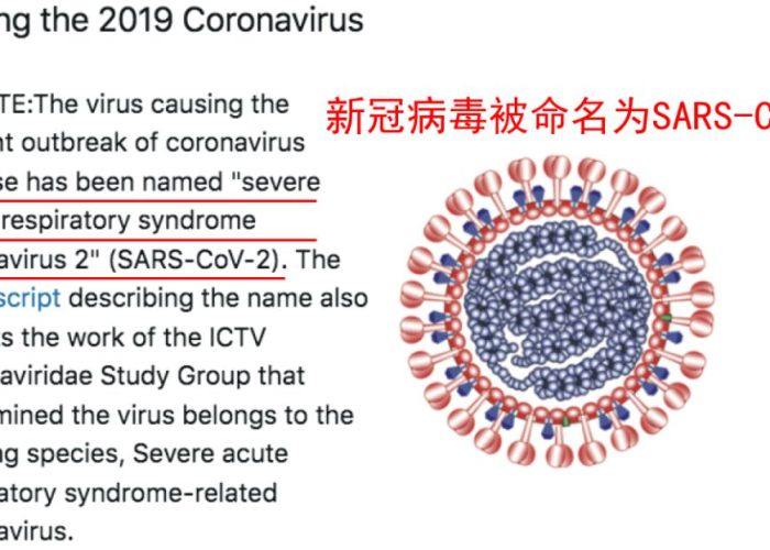 疫情病毒名称是新型冠状病毒。