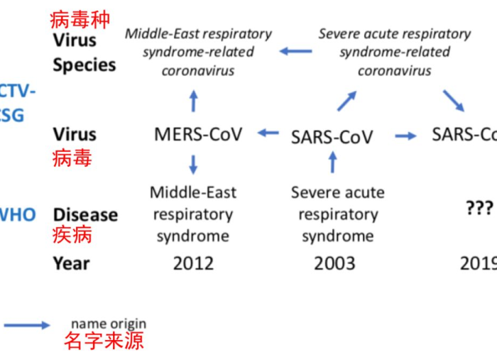 新冠病毒，全球疫情下的病毒名称解析