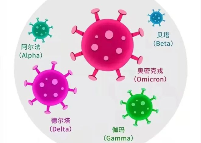 疫情病毒，揭秘病毒形态与特征