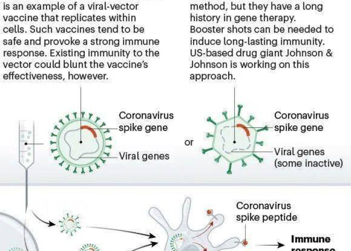 疫情病毒全名为严重急性呼吸综合征冠状病毒2型（SARS-CoV-2）。