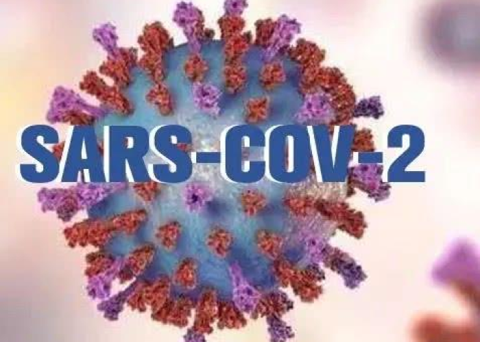 疫情病毒全名为严重急性呼吸综合征冠状病毒2型（SARS-CoV-2）。