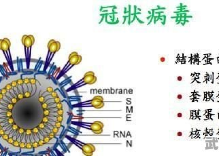 疫情病毒名称是新型冠状病毒
