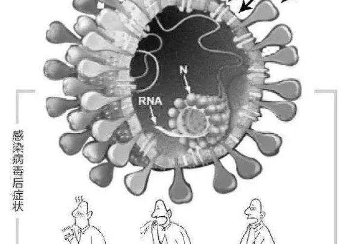 疫情期间病毒名为新型冠状病毒