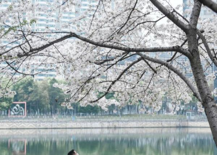 武汉封城时间，2020年1月23日