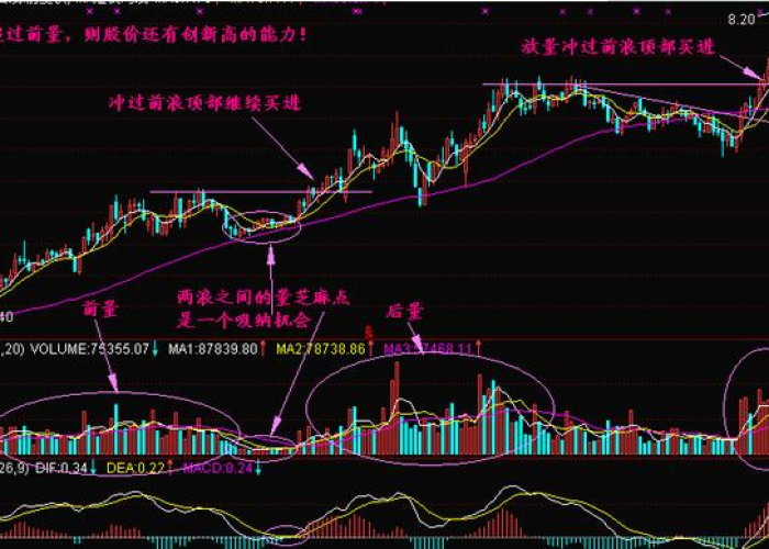 疫情下的牛股盘点