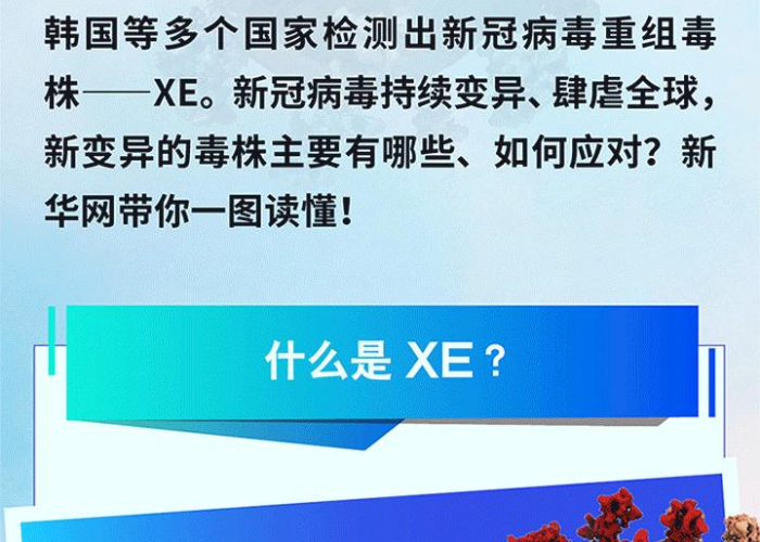 新冠疫情下表现最佳的股票