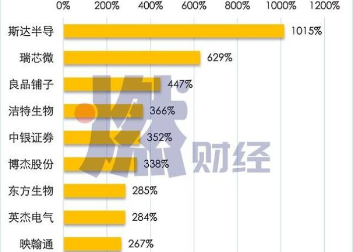 疫情期间股票上涨最多的公司有哪些？