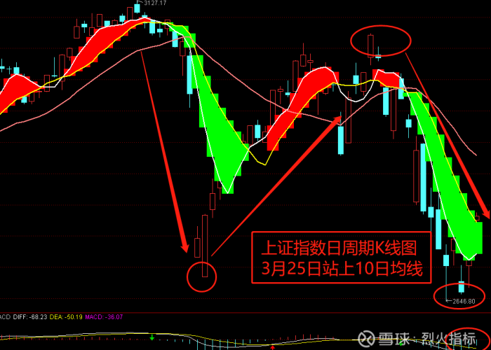 疫情期间大涨的股票大盘点