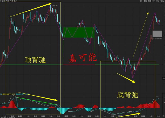 疫情期间大涨的股票大盘点