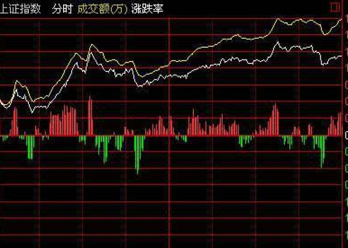 疫情期间涨价最厉害的股票，揭秘疫情下的股市风云