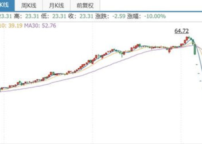 疫情期间涨价最厉害的股票，揭秘疫情下的股市风云