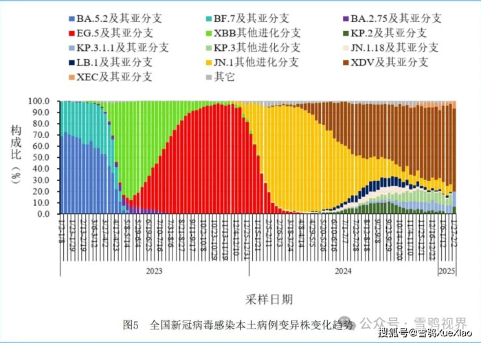 2025年疫情状况分析