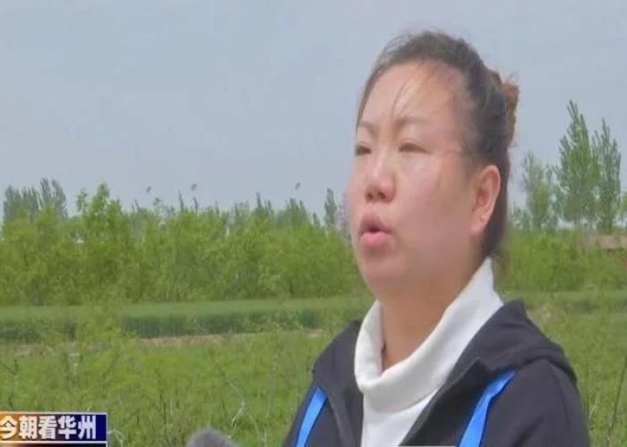 疫情下哪些股票收益最大？