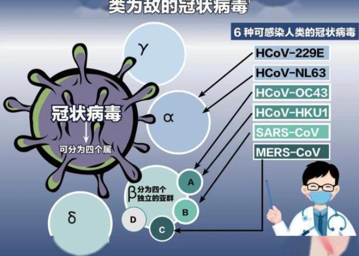 新冠疫情始于哪一年？