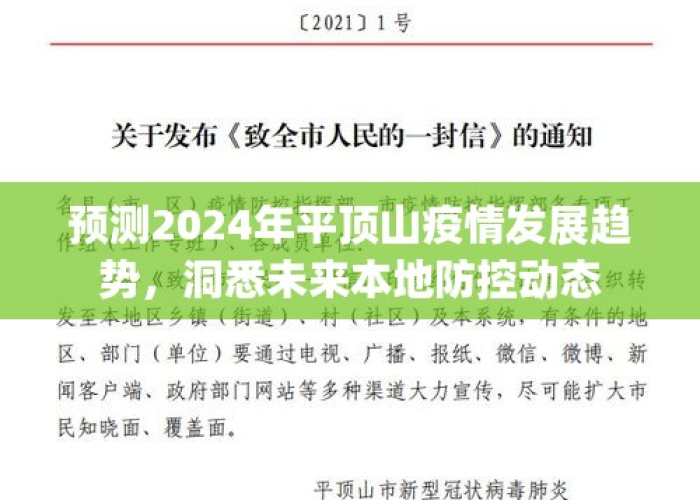 平顶山疫情2024年最新消息，防控形势严峻，市民需加强个人防护