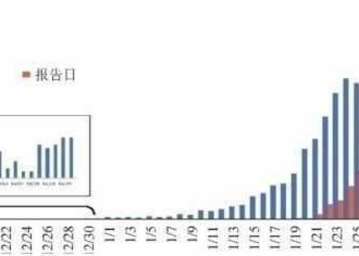 中国国内疫情何时开始？