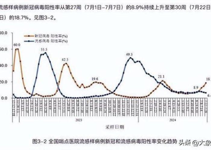 中国国内疫情何时开始？