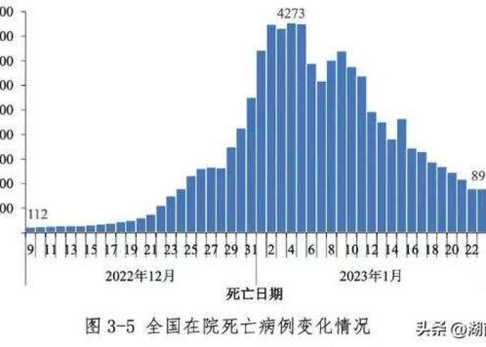 疫情放开后死亡人数激增，专家呼吁加强防控