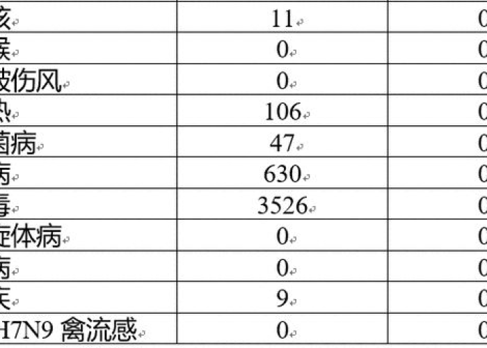2023年疫情全面解封，回顾与总结