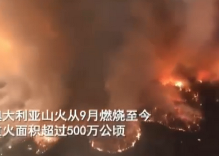 疫情折腾三年，究竟是人祸还是天灾？