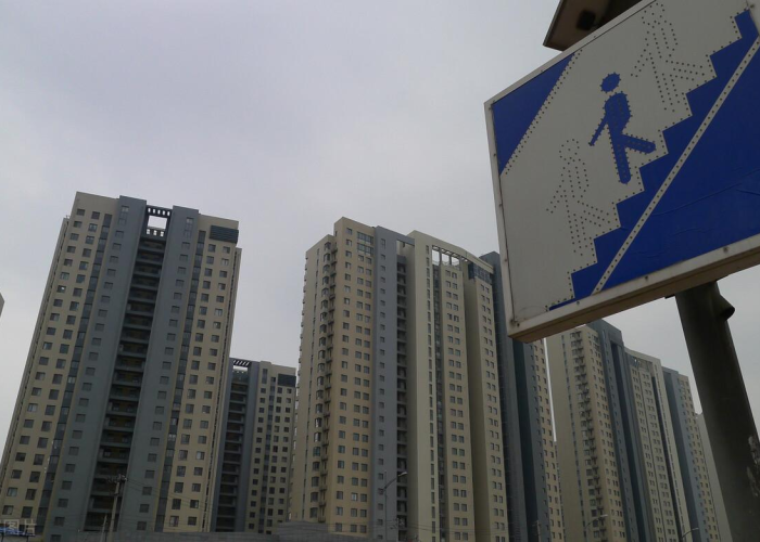 三年疫情两年灾难，未来何去何从？
