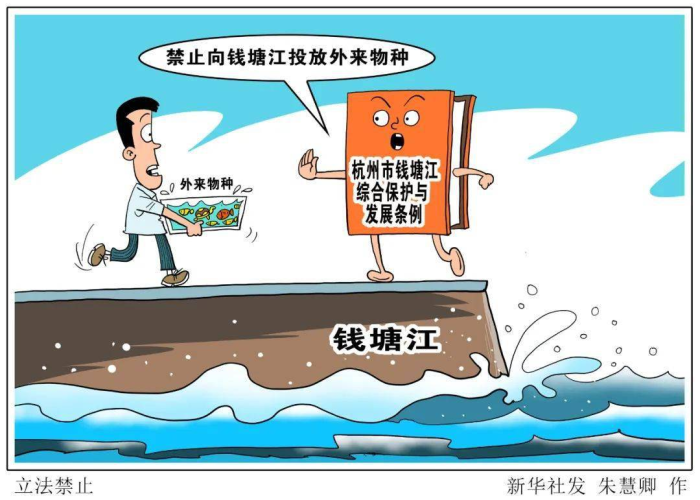 疫情持续几年的影响与后果