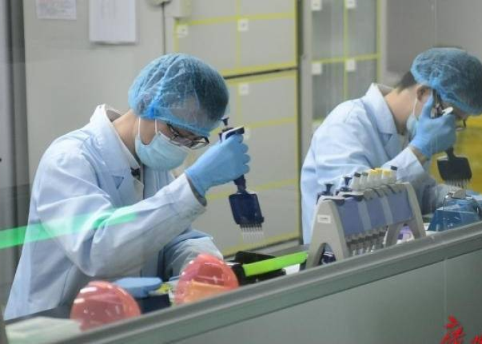 疫情突然暴发，全球紧急应对