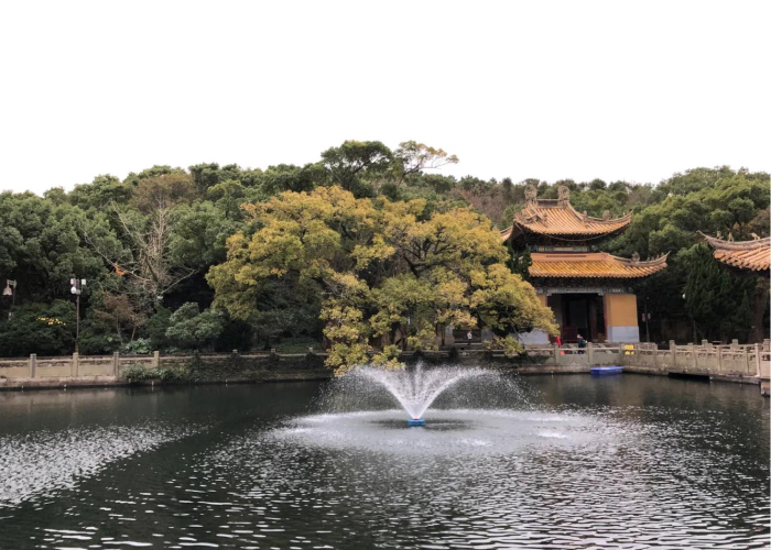 疫情起始之年，回望与反思