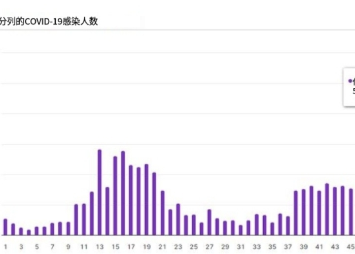 疫情后何时重启国门，全球策略与未来展望
