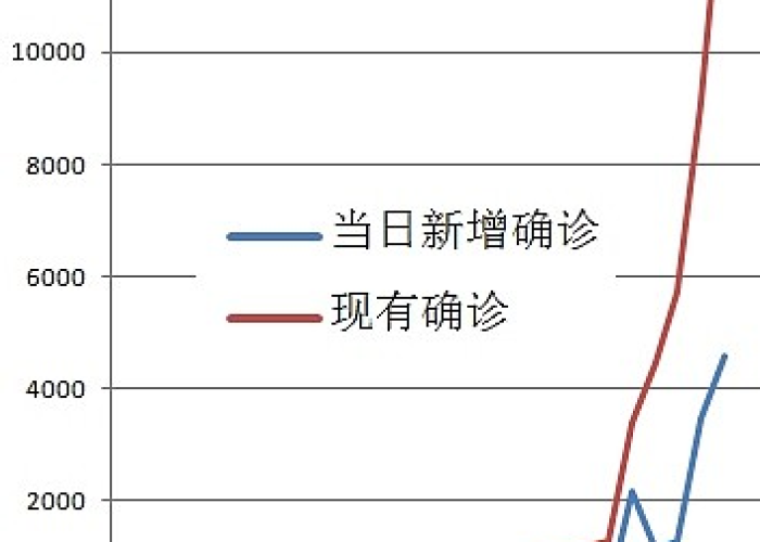 回顾与反思，2019年疫情爆发的时间节点及其影响