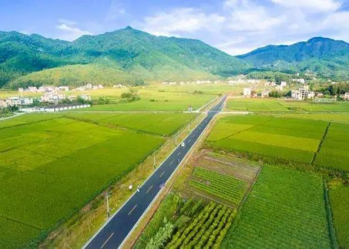 疫情开始的时间是几月几号，回顾与反思