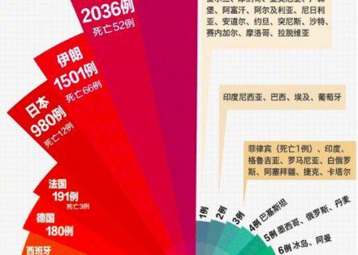 武汉疫情爆发年份回顾，2019年末至2020年初的全球公共卫生挑战