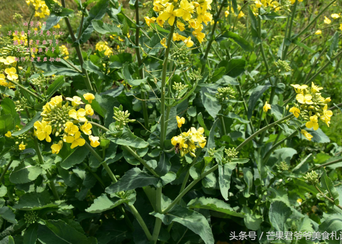 封城战疫，2020年武汉疫情回顾与启示
