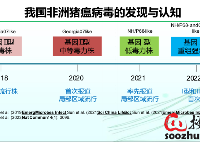 非洲疫情中的病毒毒株，挑战与应对策略