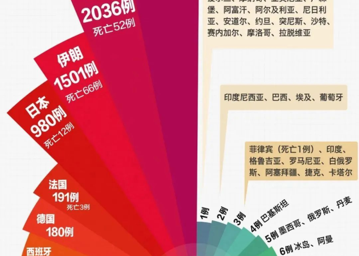 疫情，一场全球公共卫生挑战的深度解析