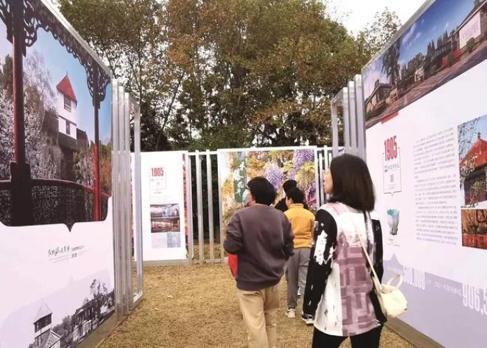 疫情最新数据疫情地图，全球疫情动态与防控成效