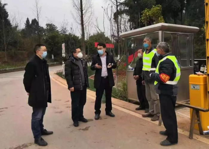 重庆疫情最新动态，数据报告与防控成效分析