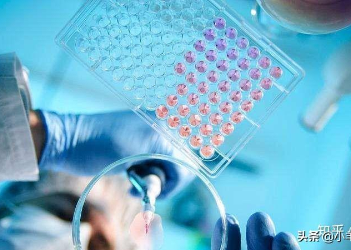 全球疫情最新动态，各国疫情排名与应对策略分析