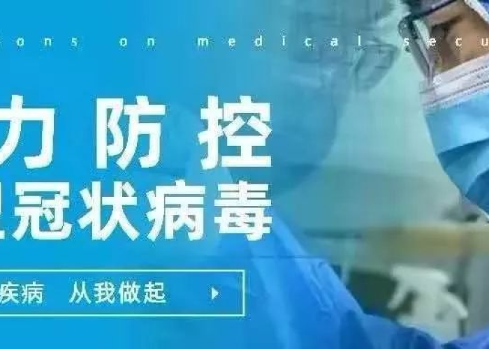 最新疫情死亡病例详情，全球抗疫斗争的沉重篇章