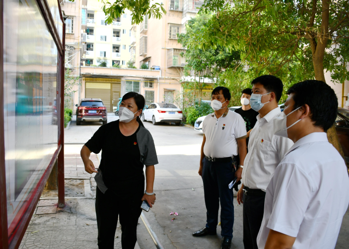2021年疫情解封标准，科学评估与全球视野下的政策调整