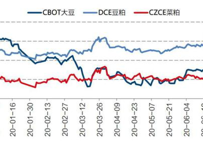 2019年疫情的起源与全球影响探析