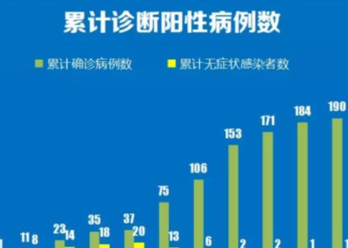 石家庄疫情爆发时间及其影响探析