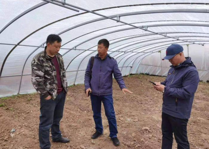 石家庄疫情何时能结束，科学防控与希望之光