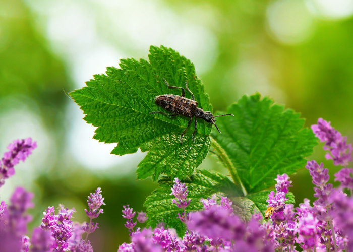 北京新增3例本地确诊1例无症状，精准防控下的动态清零新考验